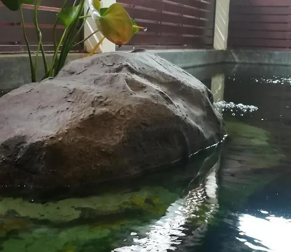 Aiims Tales Canal Boutique House